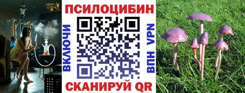 как найти закладки  Горячеводский  Псилоцибиновые грибы GOLDEN TEACHER 