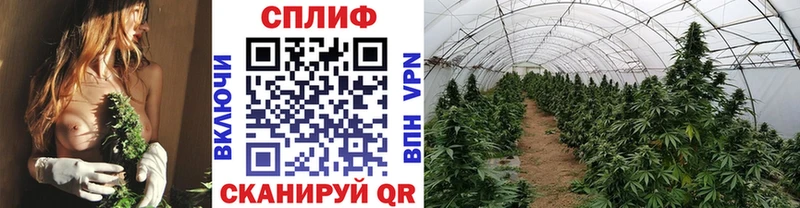 blacksprut ТОР  купить  цена  Горячеводский  Марихуана SATIVA & INDICA 